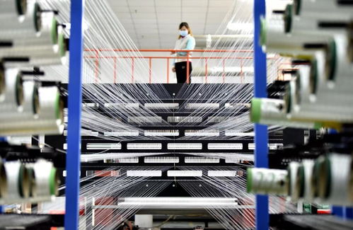 2023年復旦管理學獎三大獎項揭曉，軟件科技領域技術創新成果獲殊榮