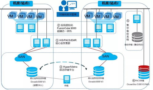 在數字田野上綻放 從親民醫院看油菜花系統的內容管理智慧